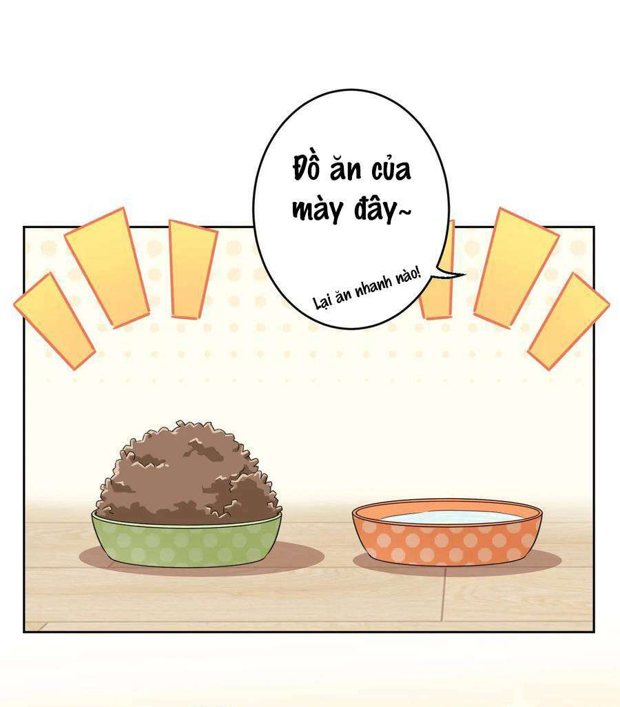 Ông Trời Đã Ban Cho Tôi Siêu Năng Lực Kỳ Lạ Gì Thế Này? - Chapter 8 - Page 7