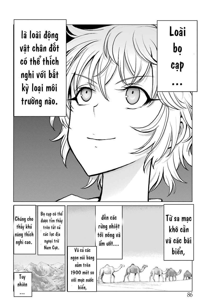 Blattodea - Chapter 3 - Page 21