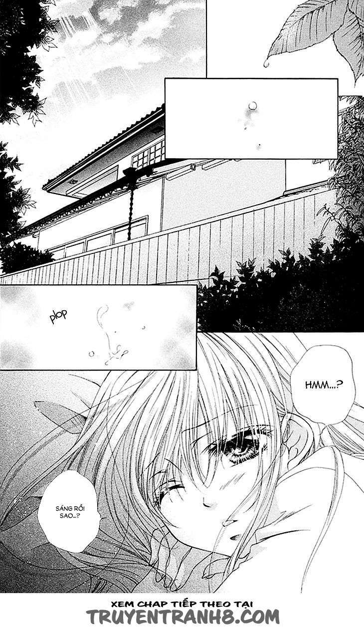 Mitsuiro Devil 1 Chapter 8 - Trang 2