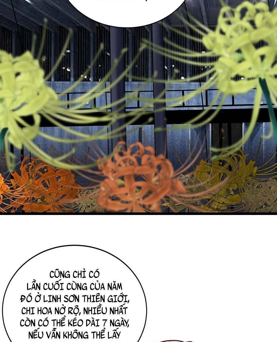 Ta Quyết Không Thành Phât - Chapter 10 - Page 42