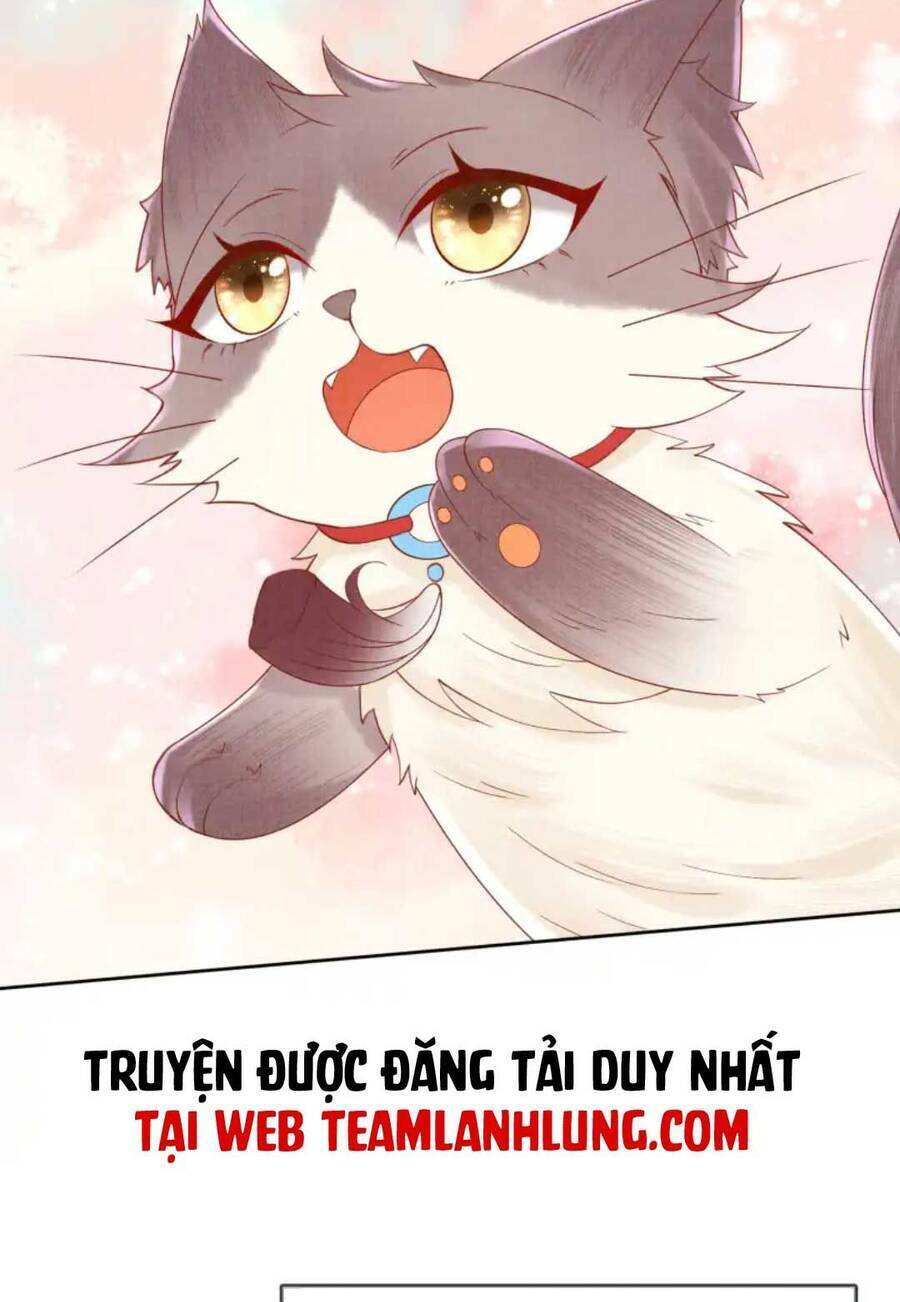 Các Đệ Tử Ai Cũng Nói Yêu Ta - Chapter 21 - Page 9
