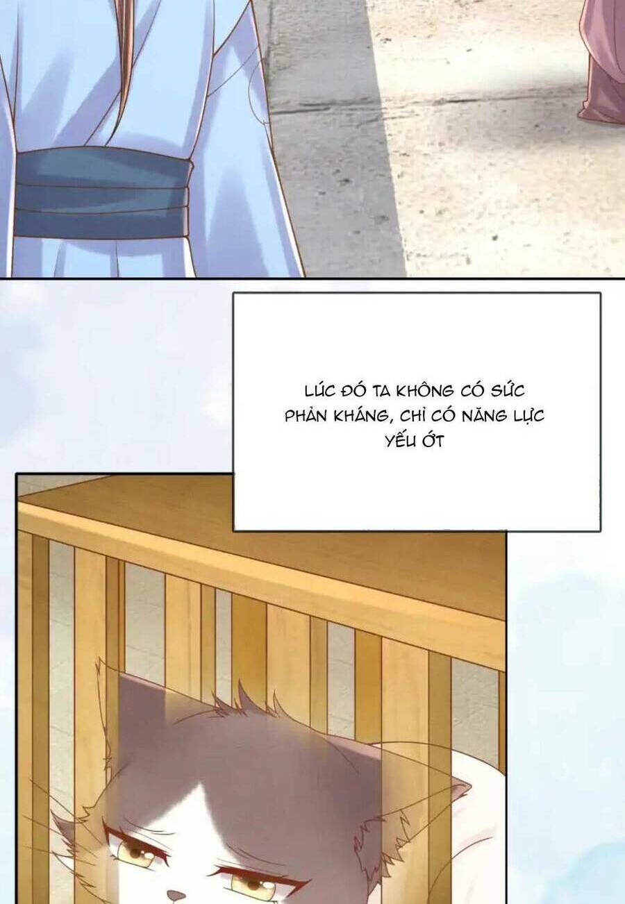 Các Đệ Tử Ai Cũng Nói Yêu Ta - Chapter 21 - Page 12