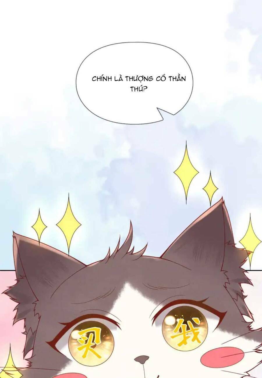 Các Đệ Tử Ai Cũng Nói Yêu Ta - Chapter 21 - Page 15