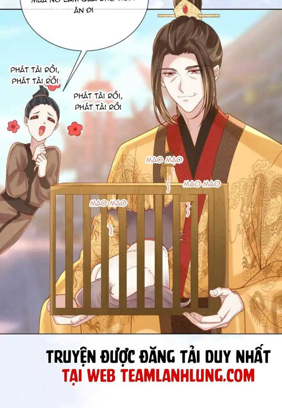 Các Đệ Tử Ai Cũng Nói Yêu Ta - Chapter 21 - Page 17