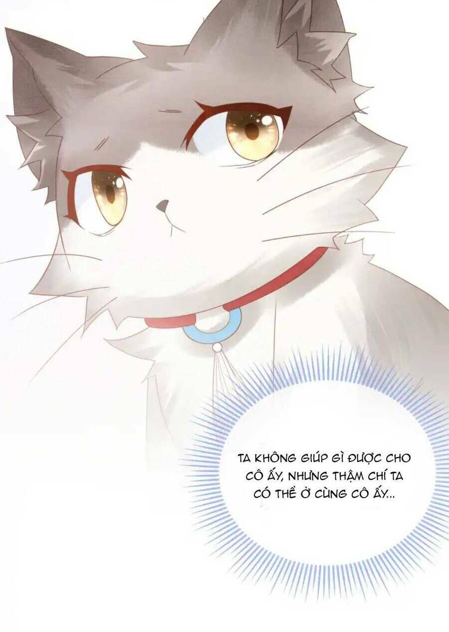 Các Đệ Tử Ai Cũng Nói Yêu Ta - Chapter 21 - Page 86