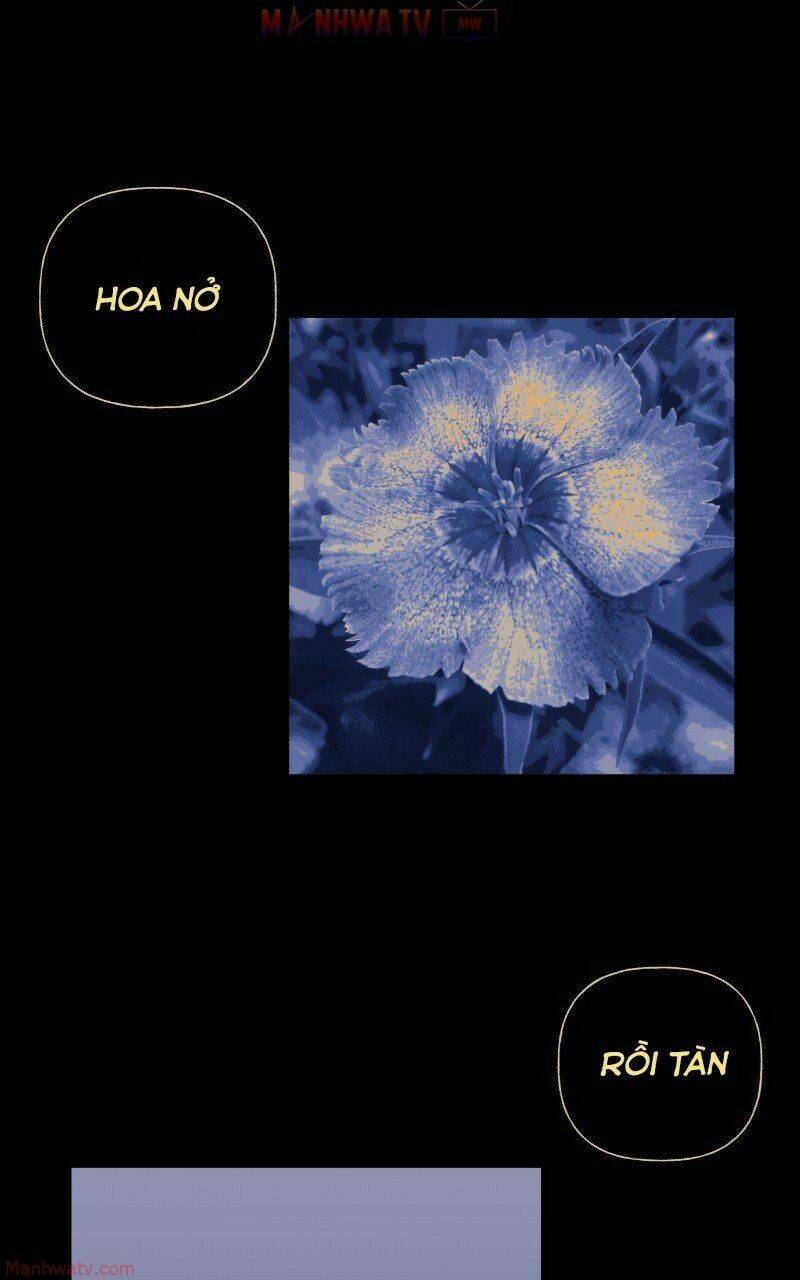 Trọng Sinh Mạc Thế - Chapter 50 - Page 41