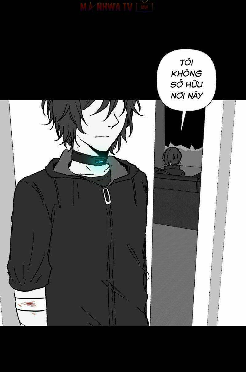 Trọng Sinh Mạc Thế - Chapter 53 - Page 11