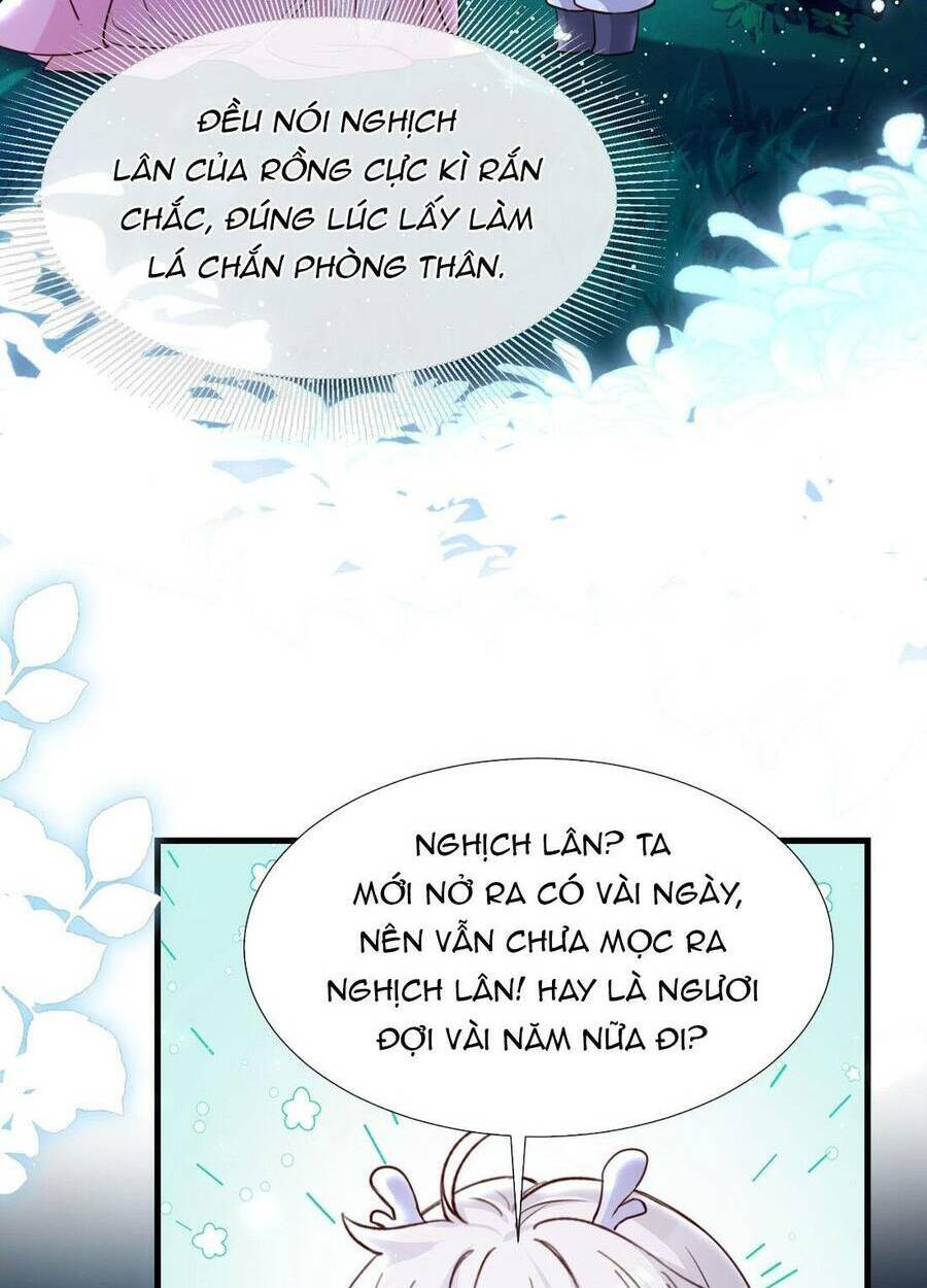 Sau khi nhặt được trứng rồng, ta quyết định nuôi hắn trở nên xấu xa - Chapter 5 - Page 28