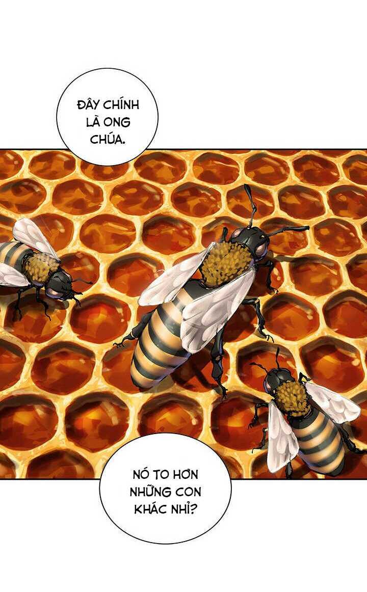 Đứa Con Thần Chết - Chapter 141 - Page 34