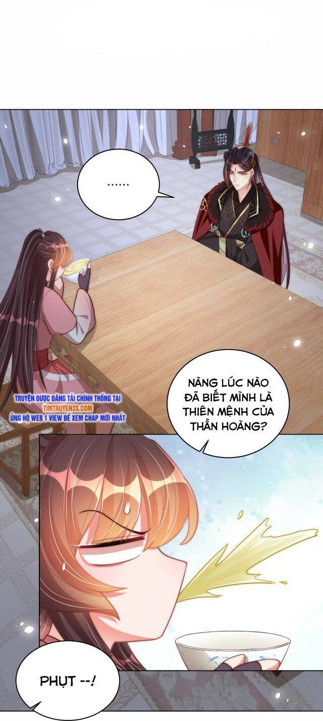 Công chúa tại thượng: Quốc sư mời xuống kiệu - Chapter 75 - Page 14