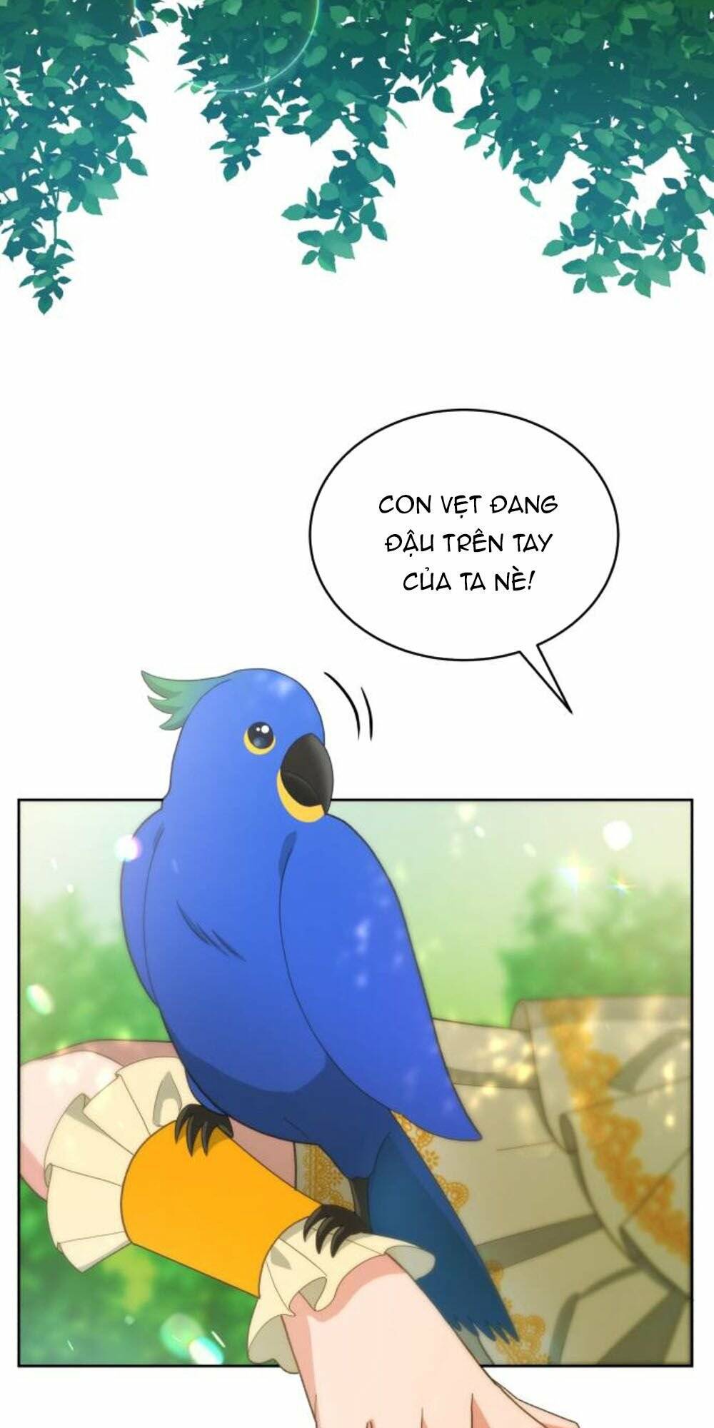 Tôi Đã Quyến Rũ Vị Công Tước Dối Trá - Chapter 39.2 - Page 11