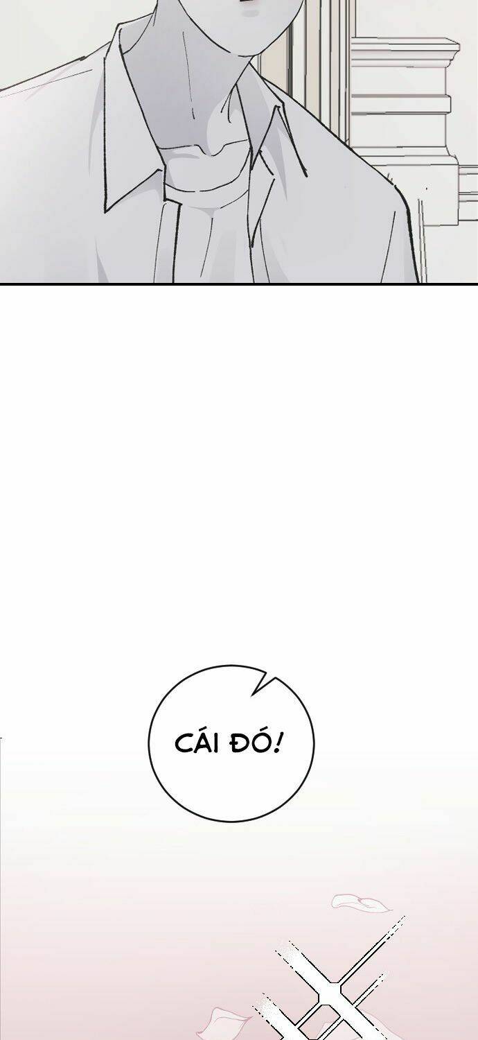 Ba Người Anh Trai Cực Phẩm Của Tôi - Chapter 23 - Page 46