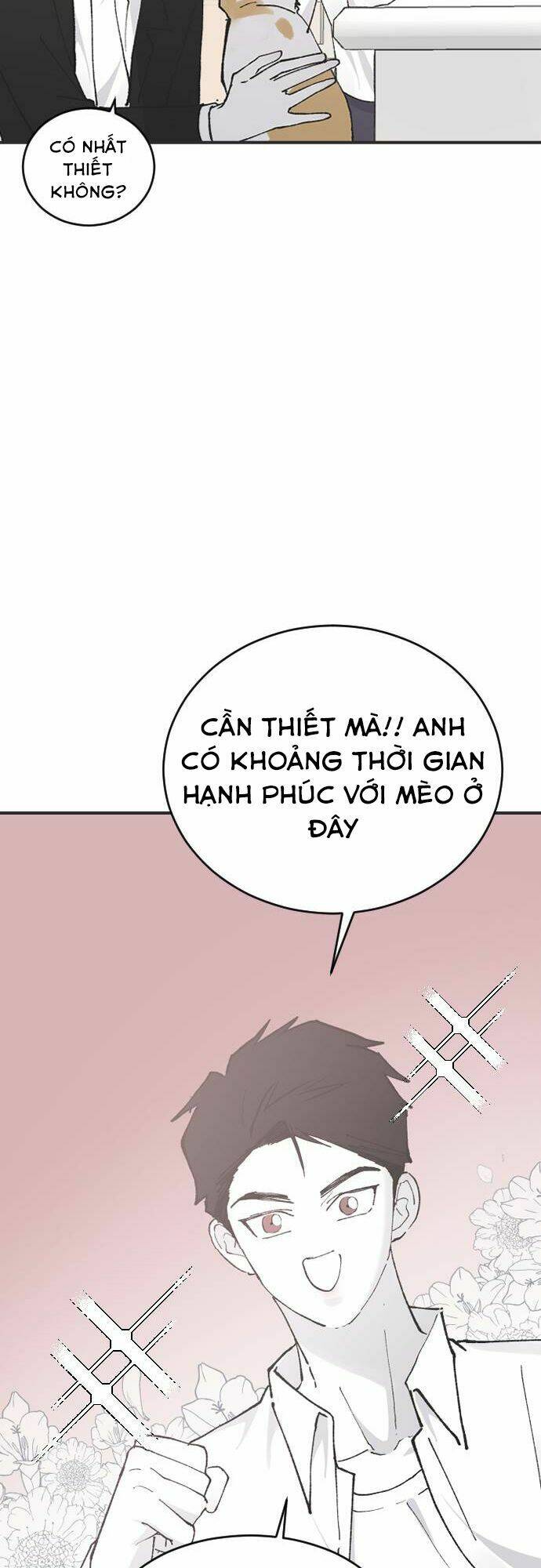 Ba Người Anh Trai Cực Phẩm Của Tôi - Chapter 24 - Page 31
