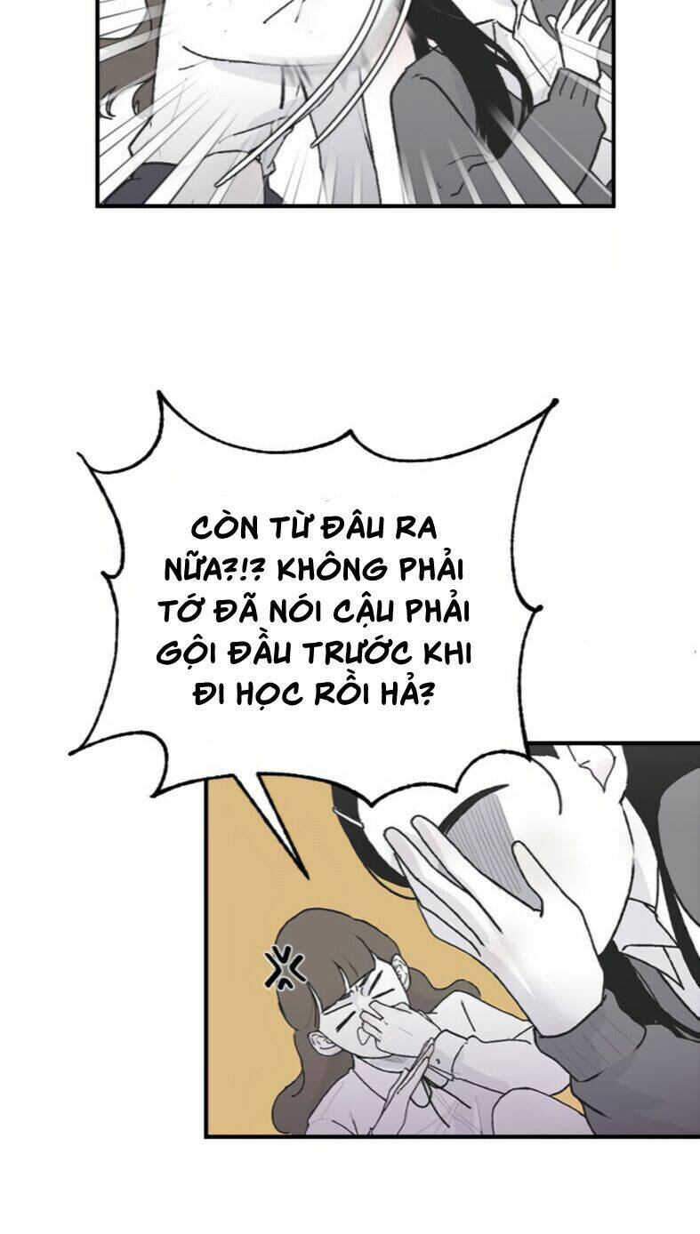 Ba Người Anh Trai Cực Phẩm Của Tôi - Chapter 4 - Page 17