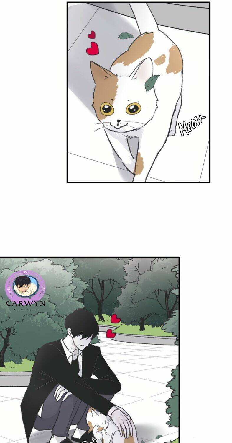 Ba Người Anh Trai Cực Phẩm Của Tôi - Chapter 4 - Page 21