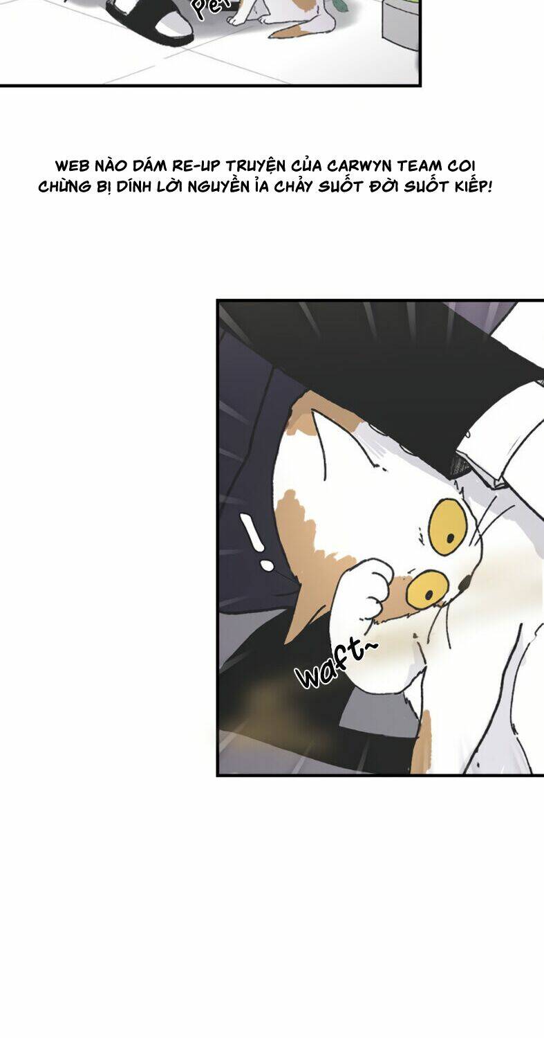 Ba Người Anh Trai Cực Phẩm Của Tôi - Chapter 4 - Page 22