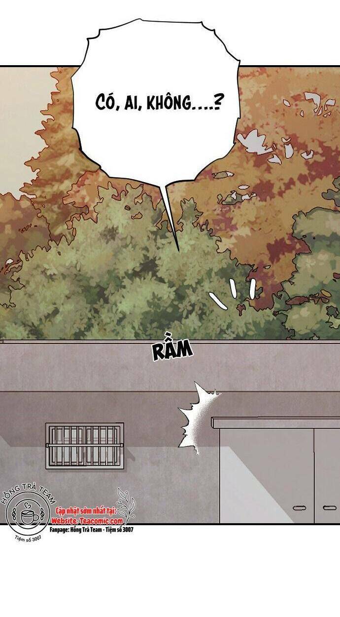 Ba Người Anh Trai Cực Phẩm Của Tôi - Chapter 49 - Page 15