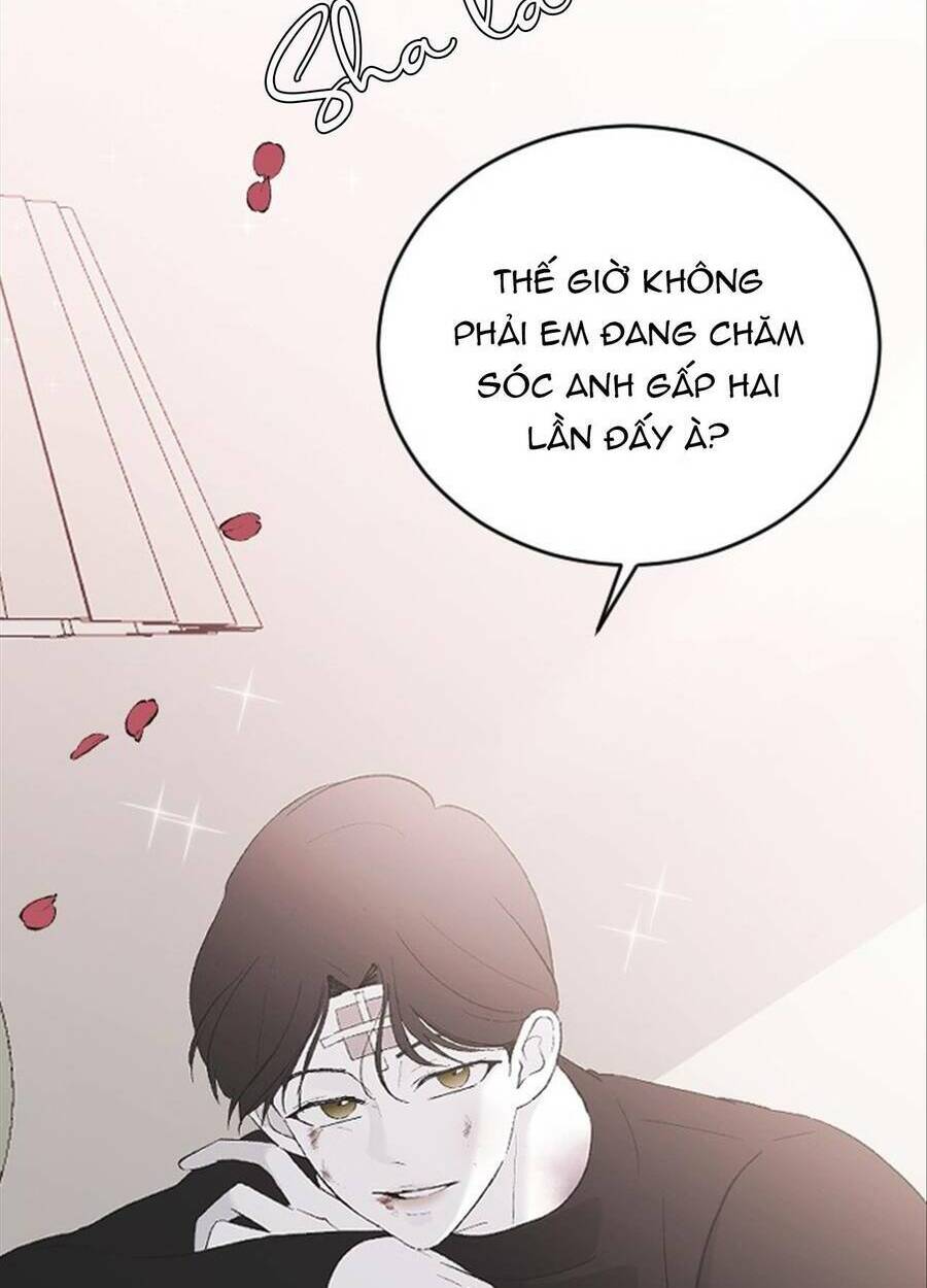 Ba Người Anh Trai Cực Phẩm Của Tôi - Chapter 53 - Page 19