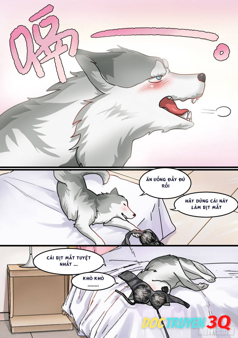 Trọng Sinh Thành Chó Của Nữ Thần - Chapter 1 - Page 9