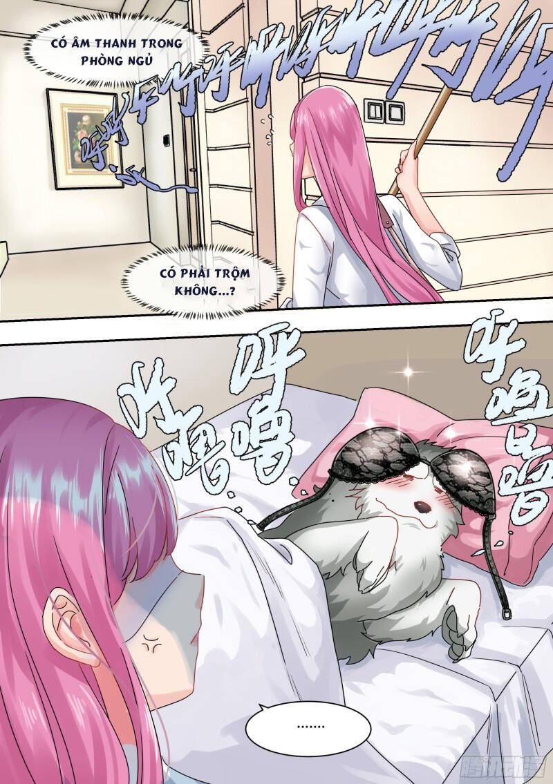 Trọng Sinh Thành Chó Của Nữ Thần - Chapter 1 - Page 12