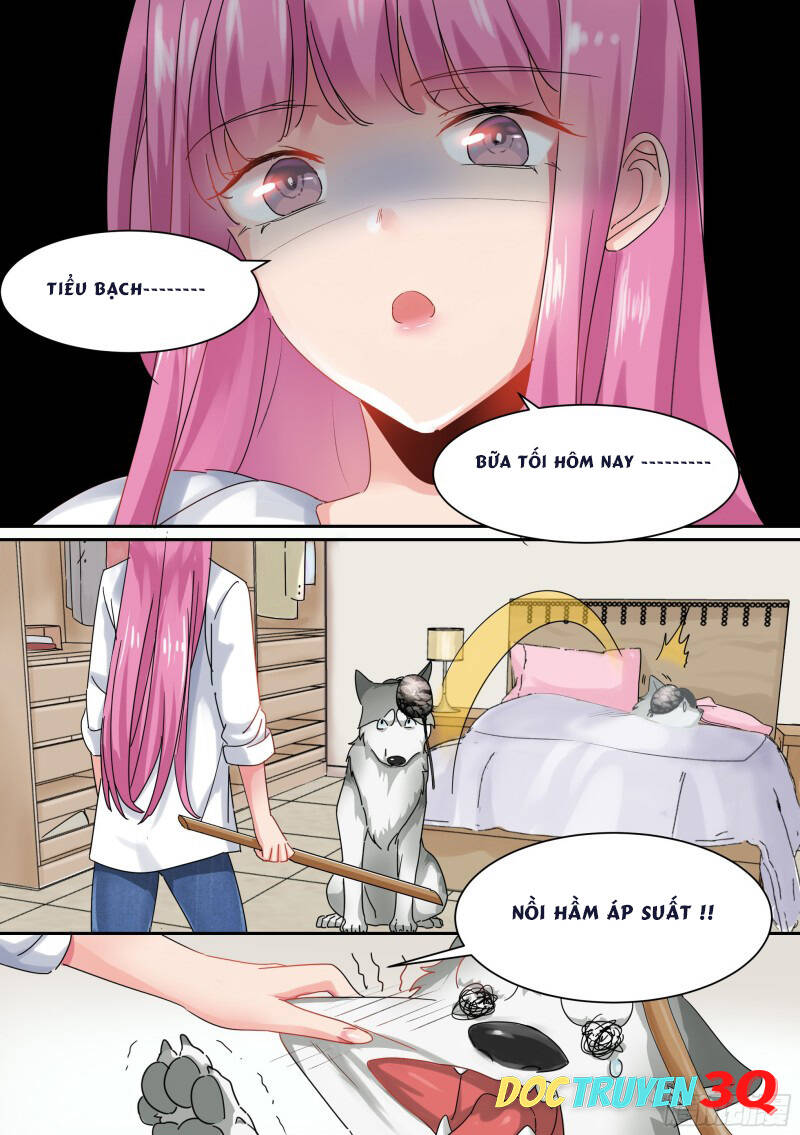 Trọng Sinh Thành Chó Của Nữ Thần - Chapter 1 - Page 13