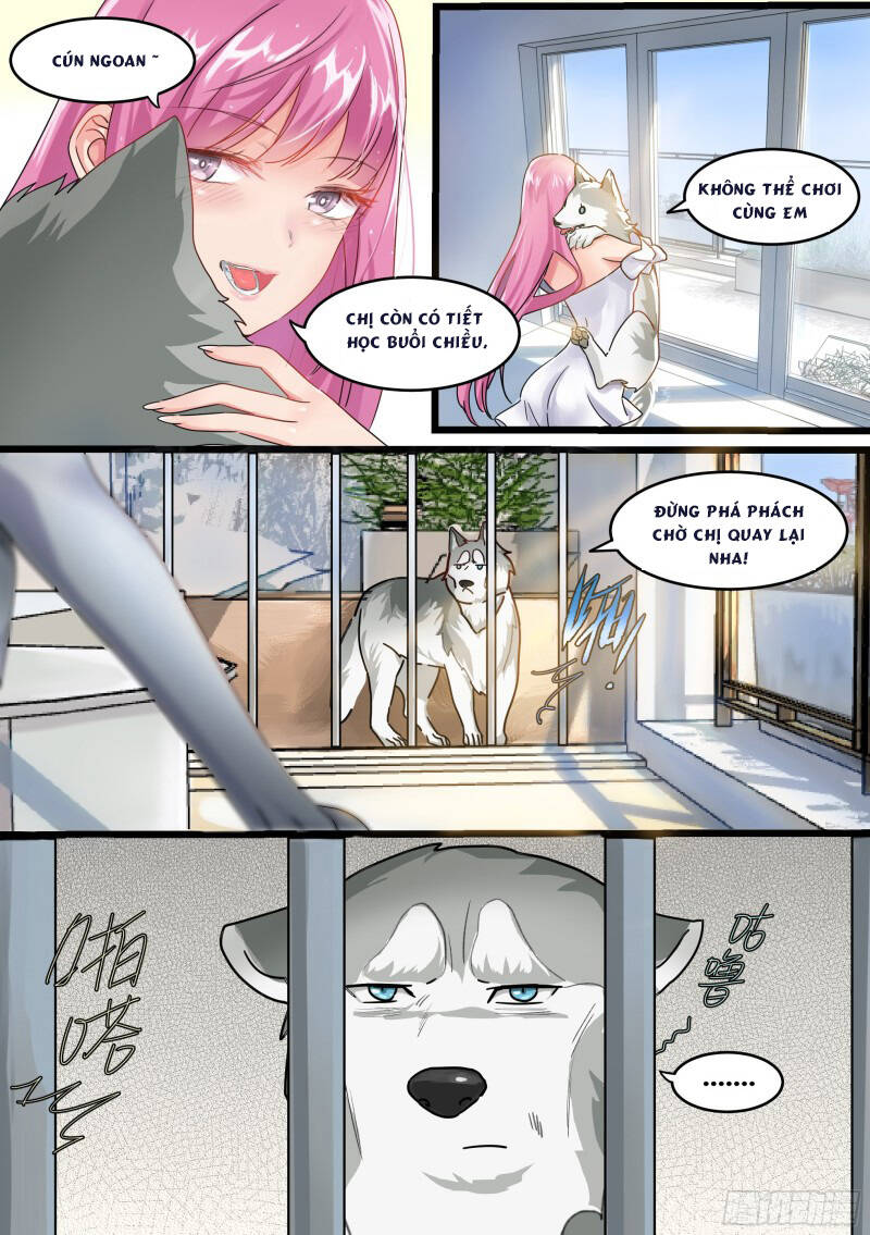 Trọng Sinh Thành Chó Của Nữ Thần - Chapter 1 - Page 6