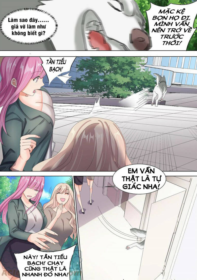 Trọng Sinh Thành Chó Của Nữ Thần - Chapter 10 - Page 9