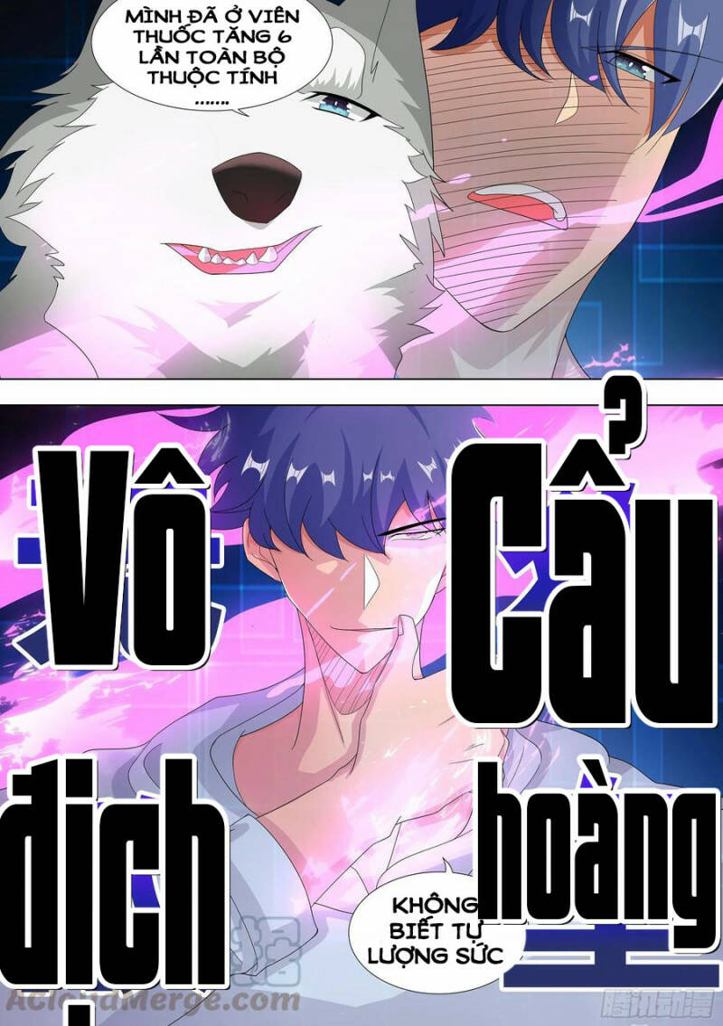 Trọng Sinh Thành Chó Của Nữ Thần - Chapter 10 - Page 3