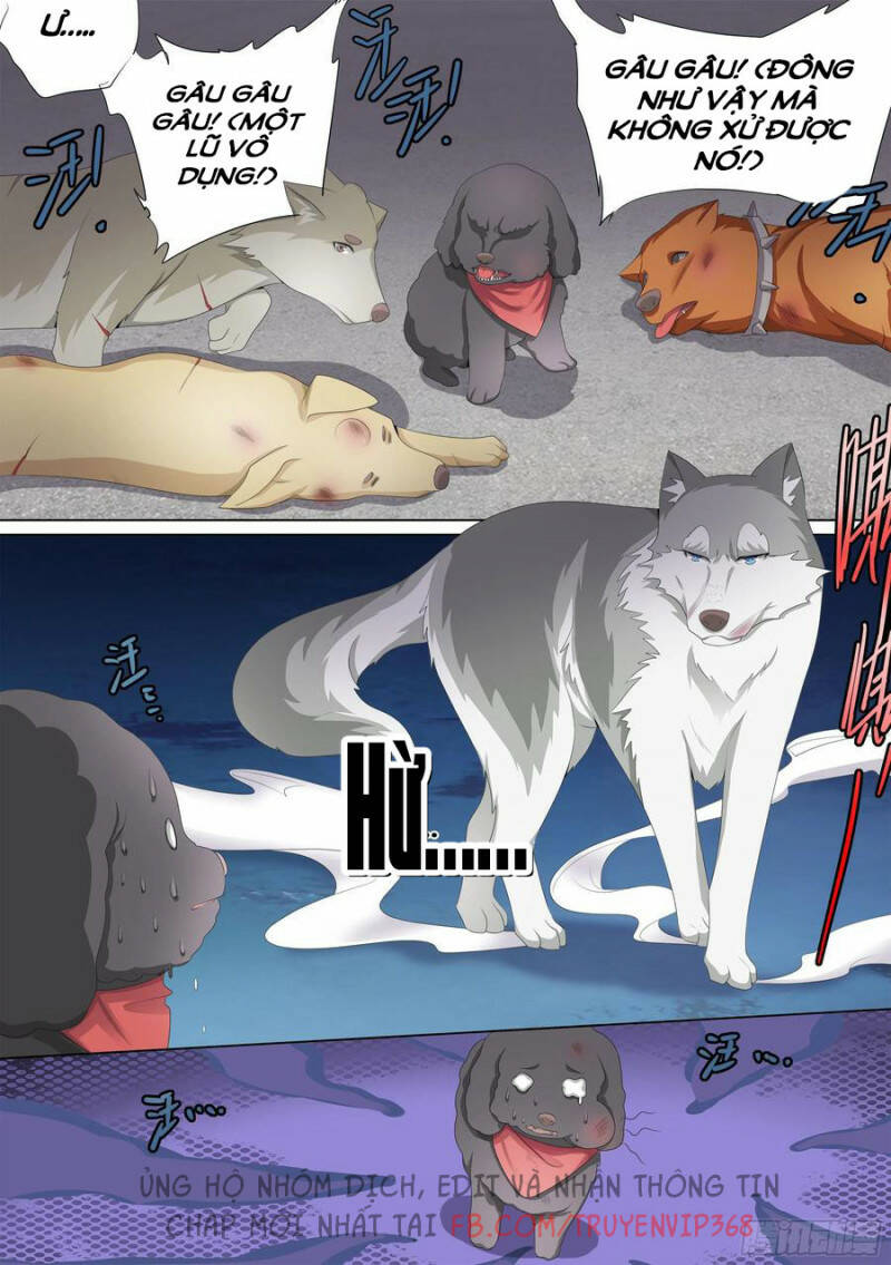 Trọng Sinh Thành Chó Của Nữ Thần - Chapter 10 - Page 4