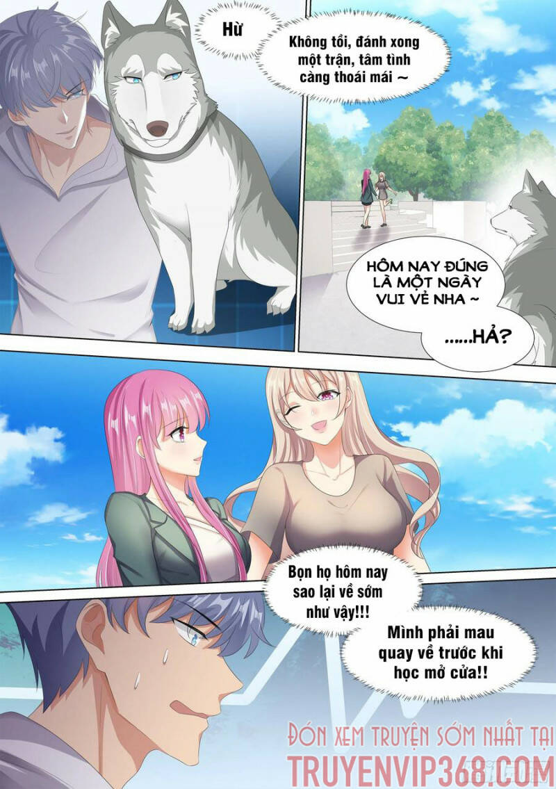 Trọng Sinh Thành Chó Của Nữ Thần - Chapter 10 - Page 6