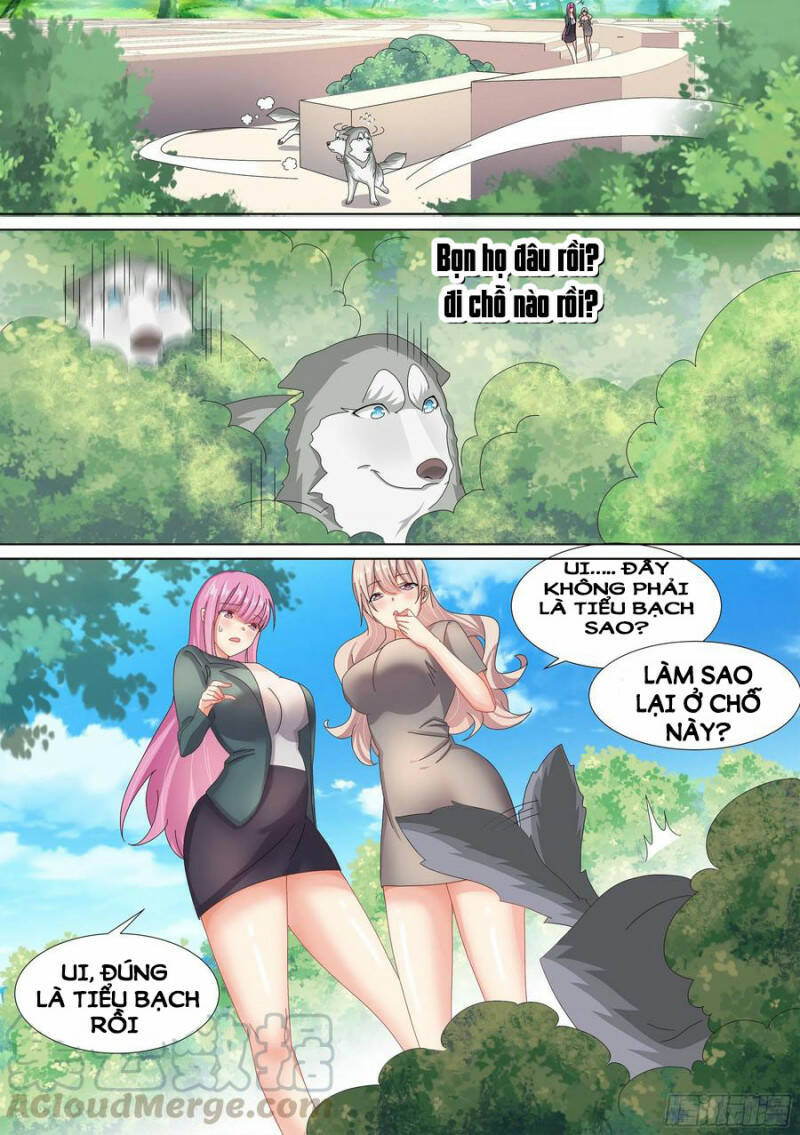 Trọng Sinh Thành Chó Của Nữ Thần - Chapter 10 - Page 7