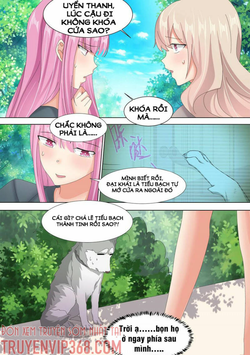 Trọng Sinh Thành Chó Của Nữ Thần - Chapter 10 - Page 8