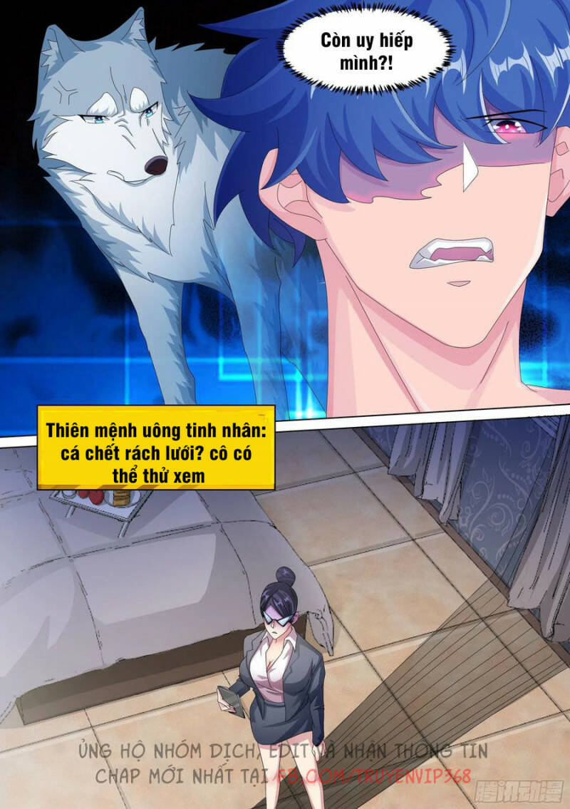 Trọng Sinh Thành Chó Của Nữ Thần - Chapter 13 - Page 8