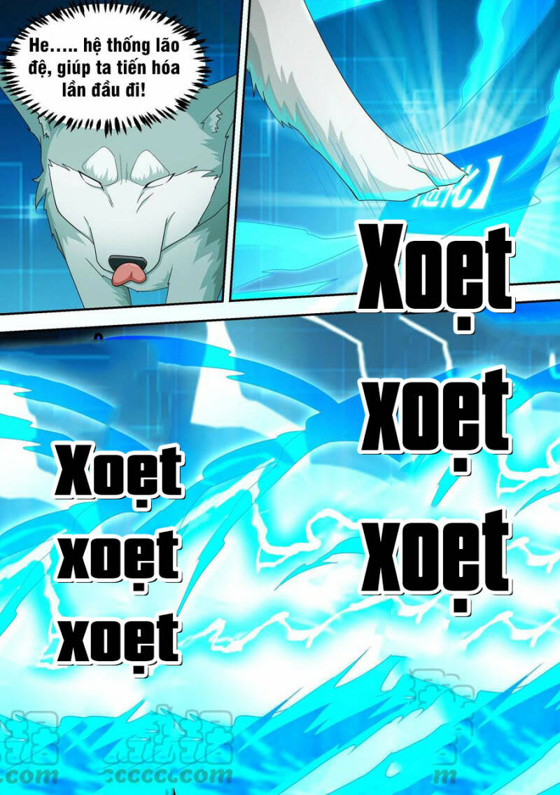 Trọng Sinh Thành Chó Của Nữ Thần - Chapter 15 - Page 9