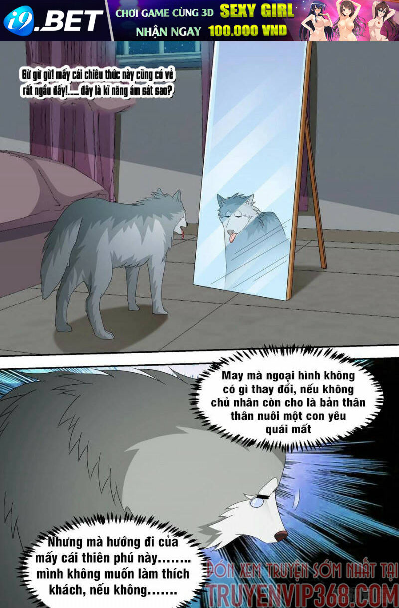 Trọng Sinh Thành Chó Của Nữ Thần - Chapter 15 - Page 14