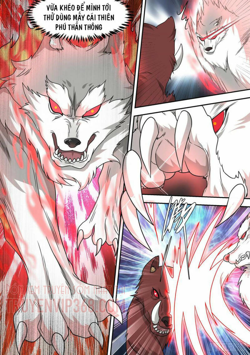 Trọng Sinh Thành Chó Của Nữ Thần - Chapter 17 - Page 9