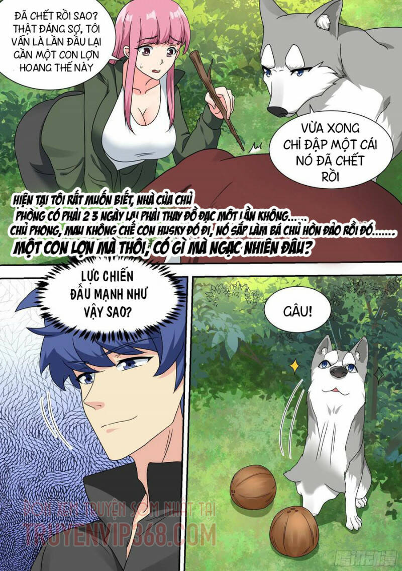 Trọng Sinh Thành Chó Của Nữ Thần - Chapter 17 - Page 13