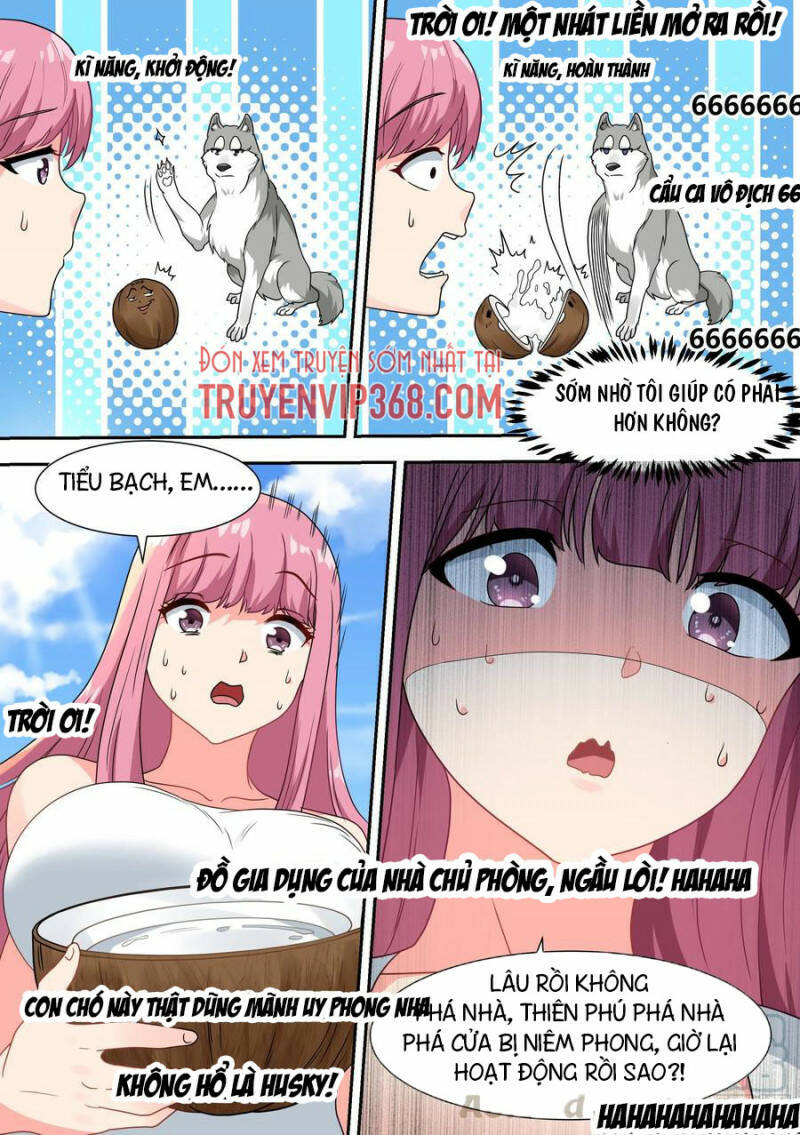 Trọng Sinh Thành Chó Của Nữ Thần - Chapter 17 - Page 16