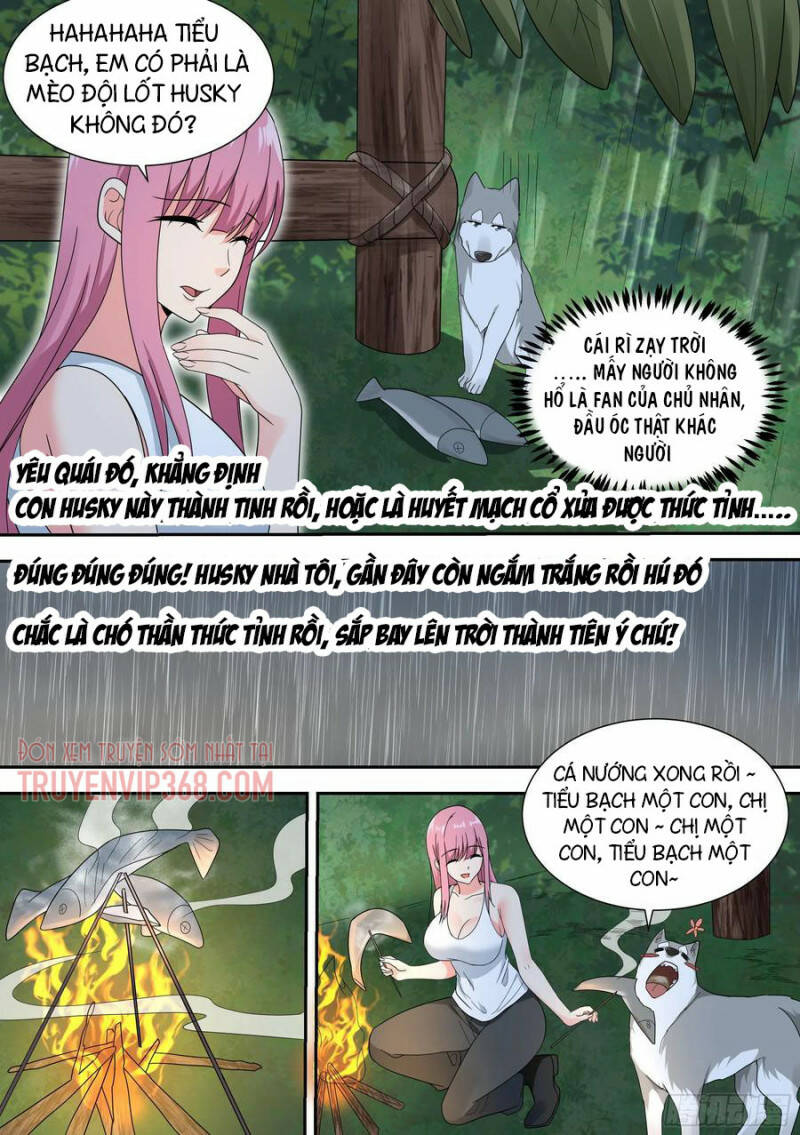 Trọng Sinh Thành Chó Của Nữ Thần - Chapter 18 - Page 13