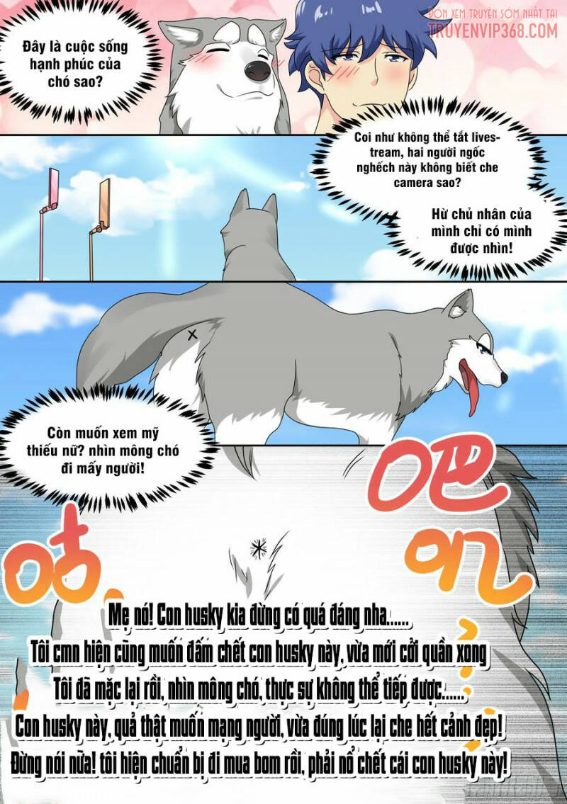 Trọng Sinh Thành Chó Của Nữ Thần - Chapter 19 - Page 12