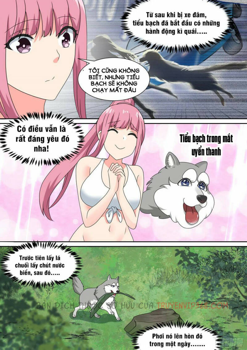 Trọng Sinh Thành Chó Của Nữ Thần - Chapter 19 - Page 14