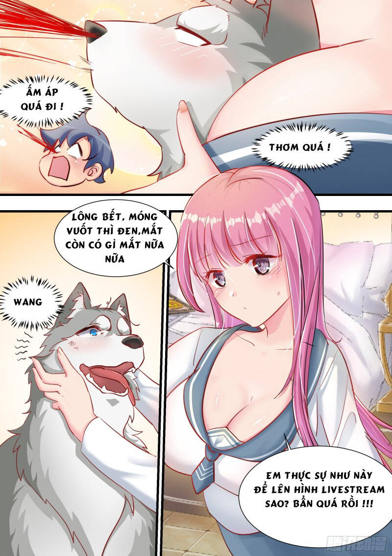 Trọng Sinh Thành Chó Của Nữ Thần - Chapter 2 - Page 12