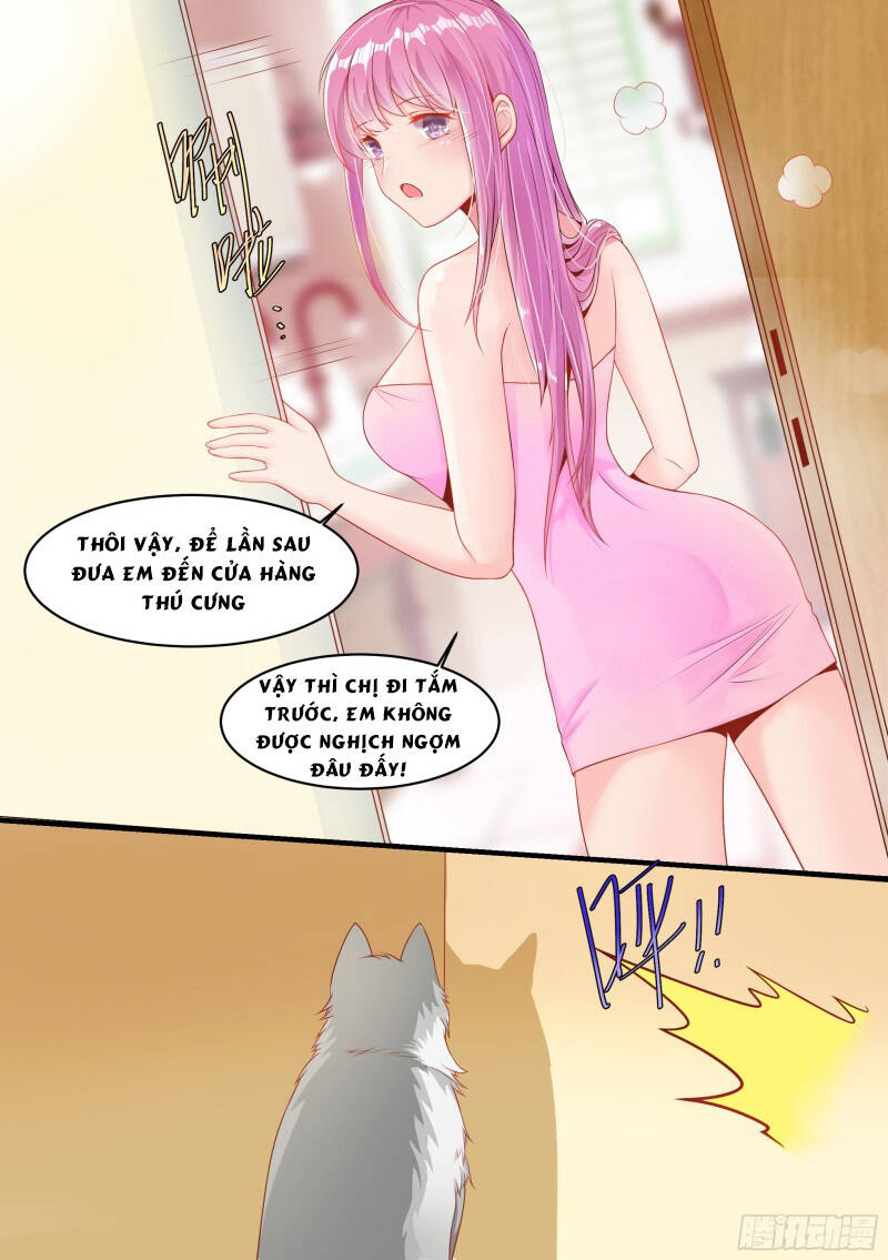 Trọng Sinh Thành Chó Của Nữ Thần - Chapter 2 - Page 15