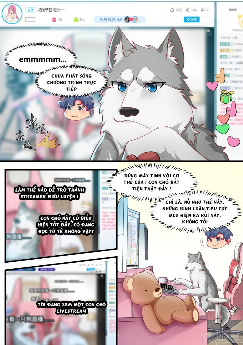 Trọng Sinh Thành Chó Của Nữ Thần - Chapter 2 - Page 4