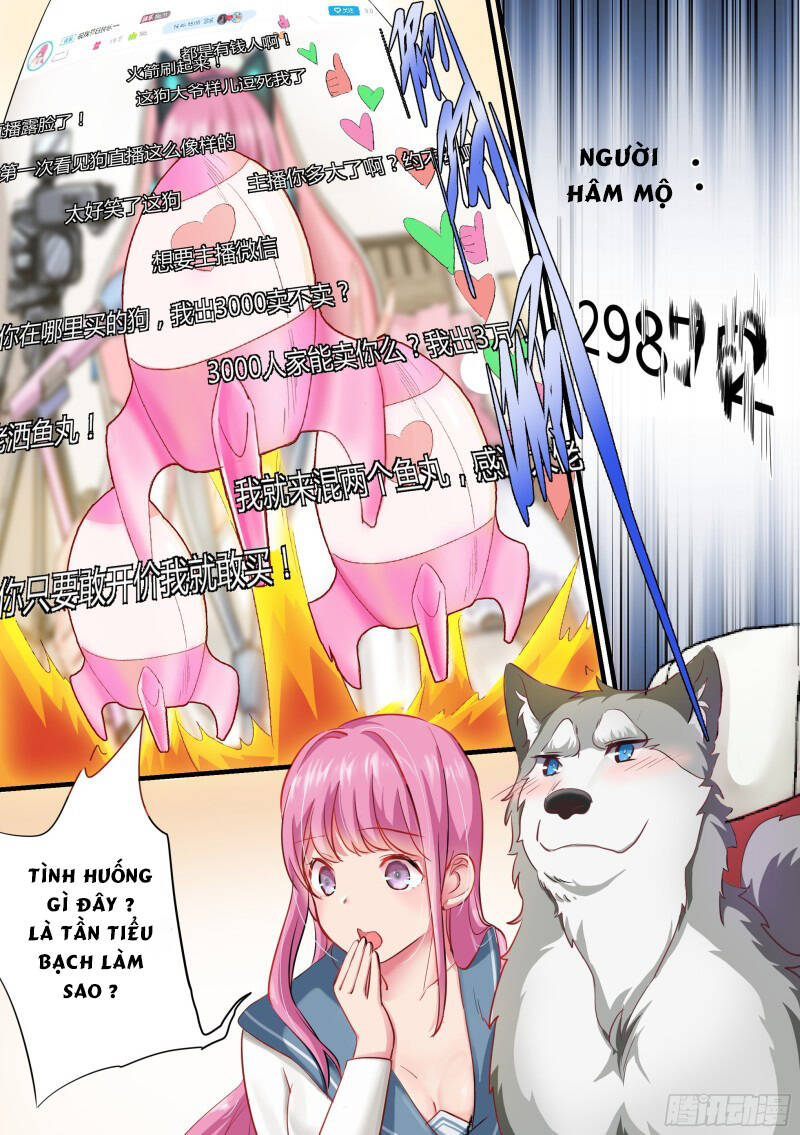 Trọng Sinh Thành Chó Của Nữ Thần - Chapter 2 - Page 7