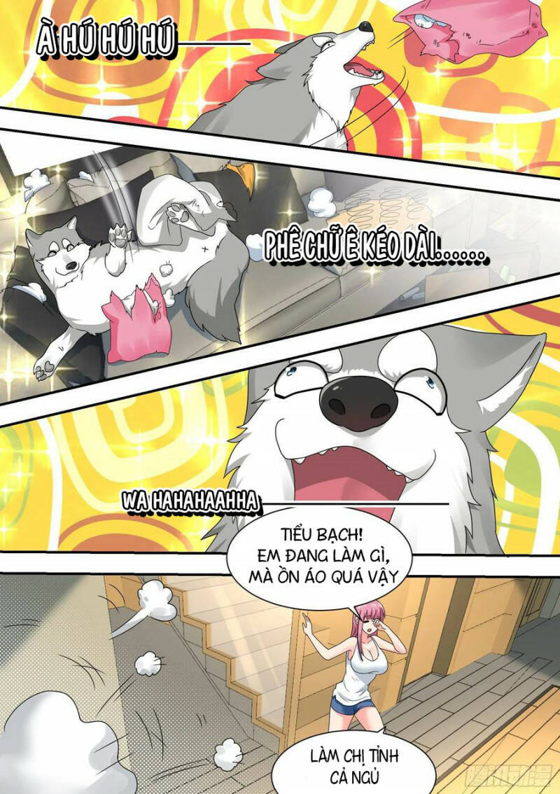 Trọng Sinh Thành Chó Của Nữ Thần - Chapter 22 - Page 9