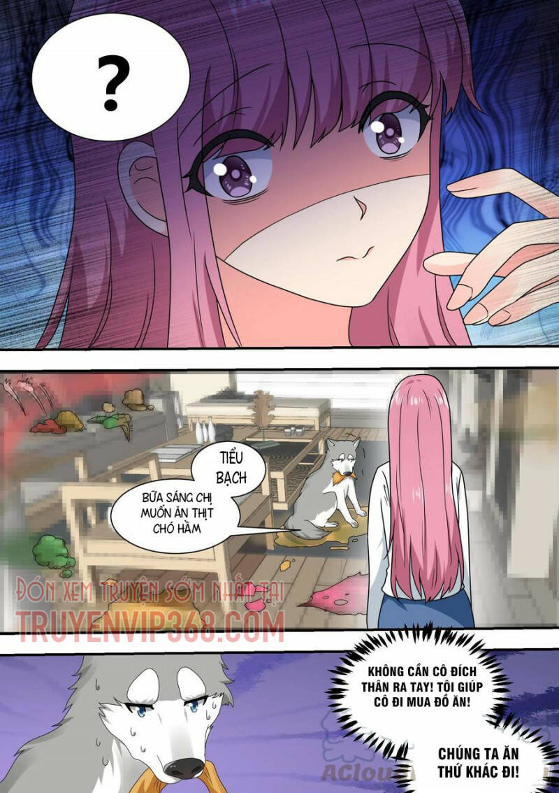 Trọng Sinh Thành Chó Của Nữ Thần - Chapter 22 - Page 10
