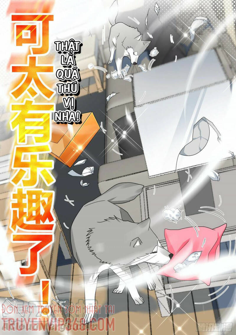 Trọng Sinh Thành Chó Của Nữ Thần - Chapter 22 - Page 8