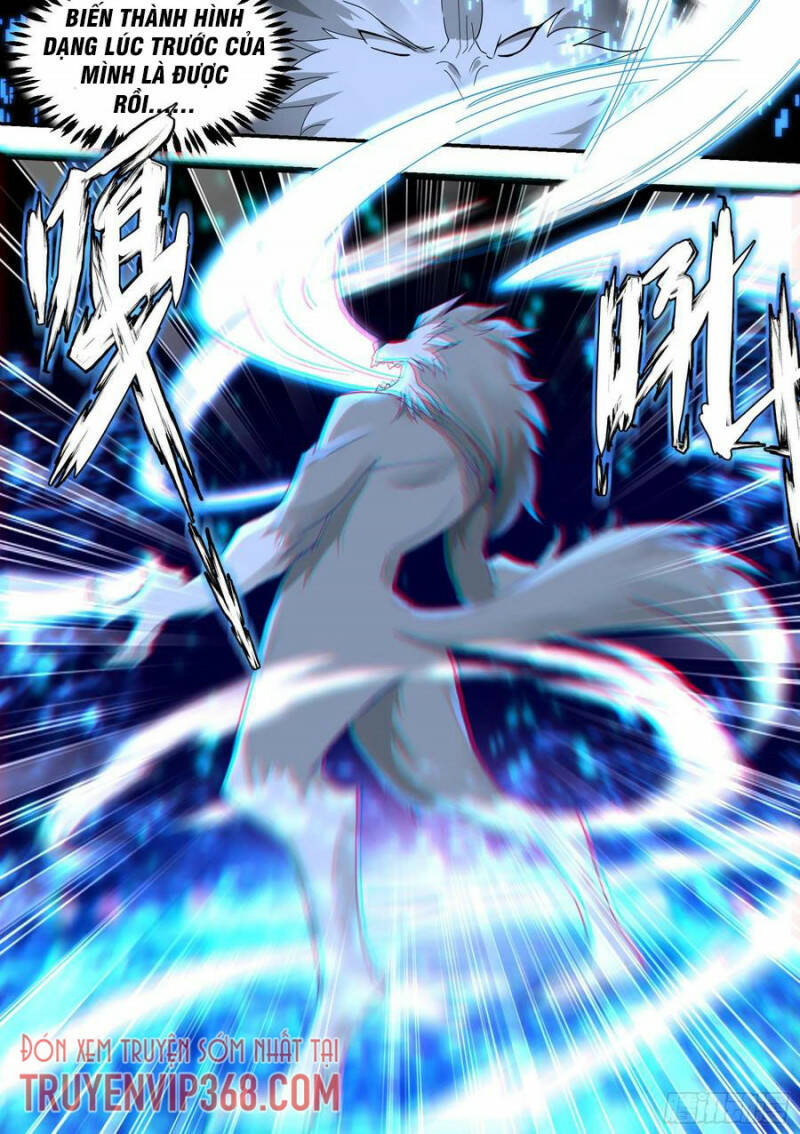 Trọng Sinh Thành Chó Của Nữ Thần - Chapter 23 - Page 3