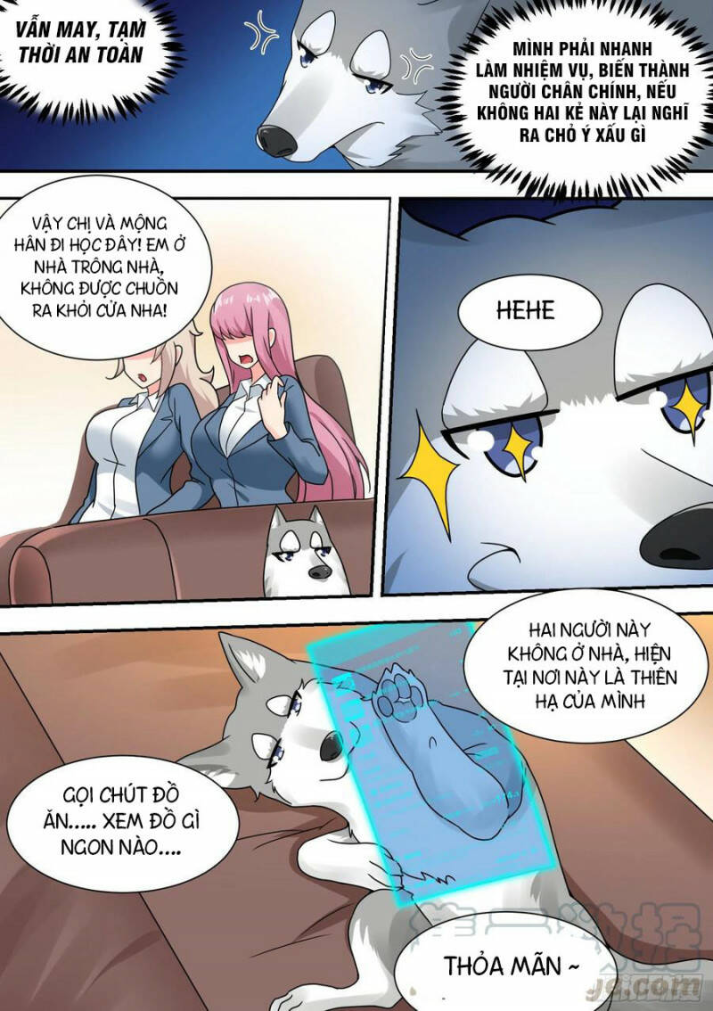 Trọng Sinh Thành Chó Của Nữ Thần - Chapter 27 - Page 6